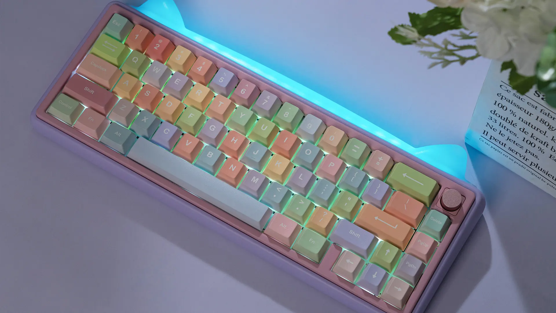 Chilkey Paw65