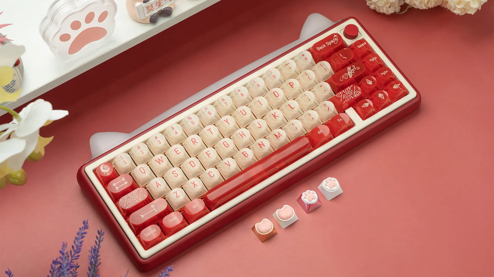 Chilkey Paw65