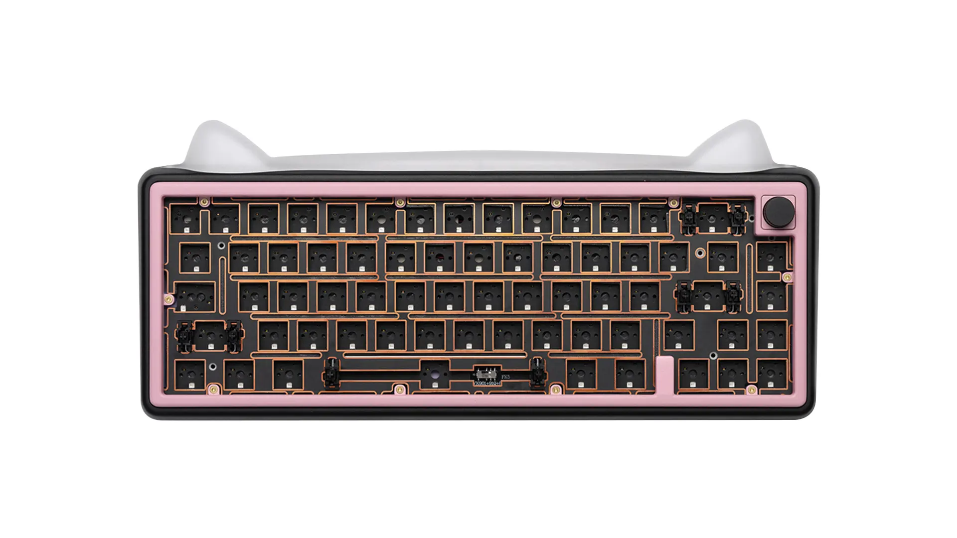 Chilkey Paw65