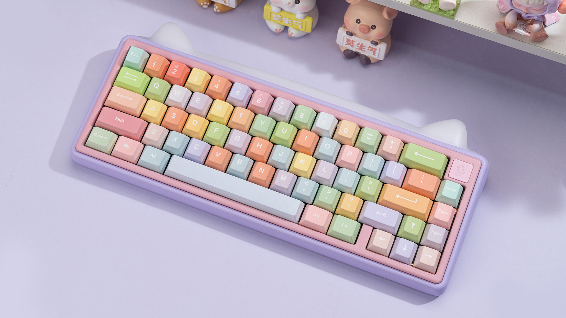 Chilkey Paw65